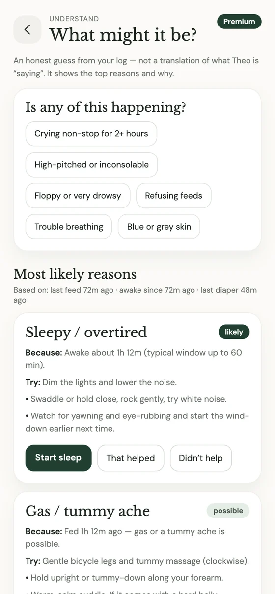 ‘What might it be?’ screen listing likely reasons for crying